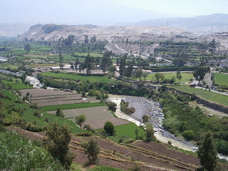 Ecosistema de Arequipa